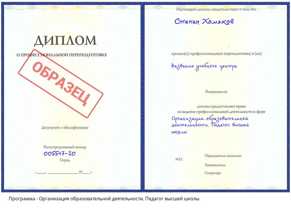 Организация образовательной деятельности. Педагог высшей школы Грозный