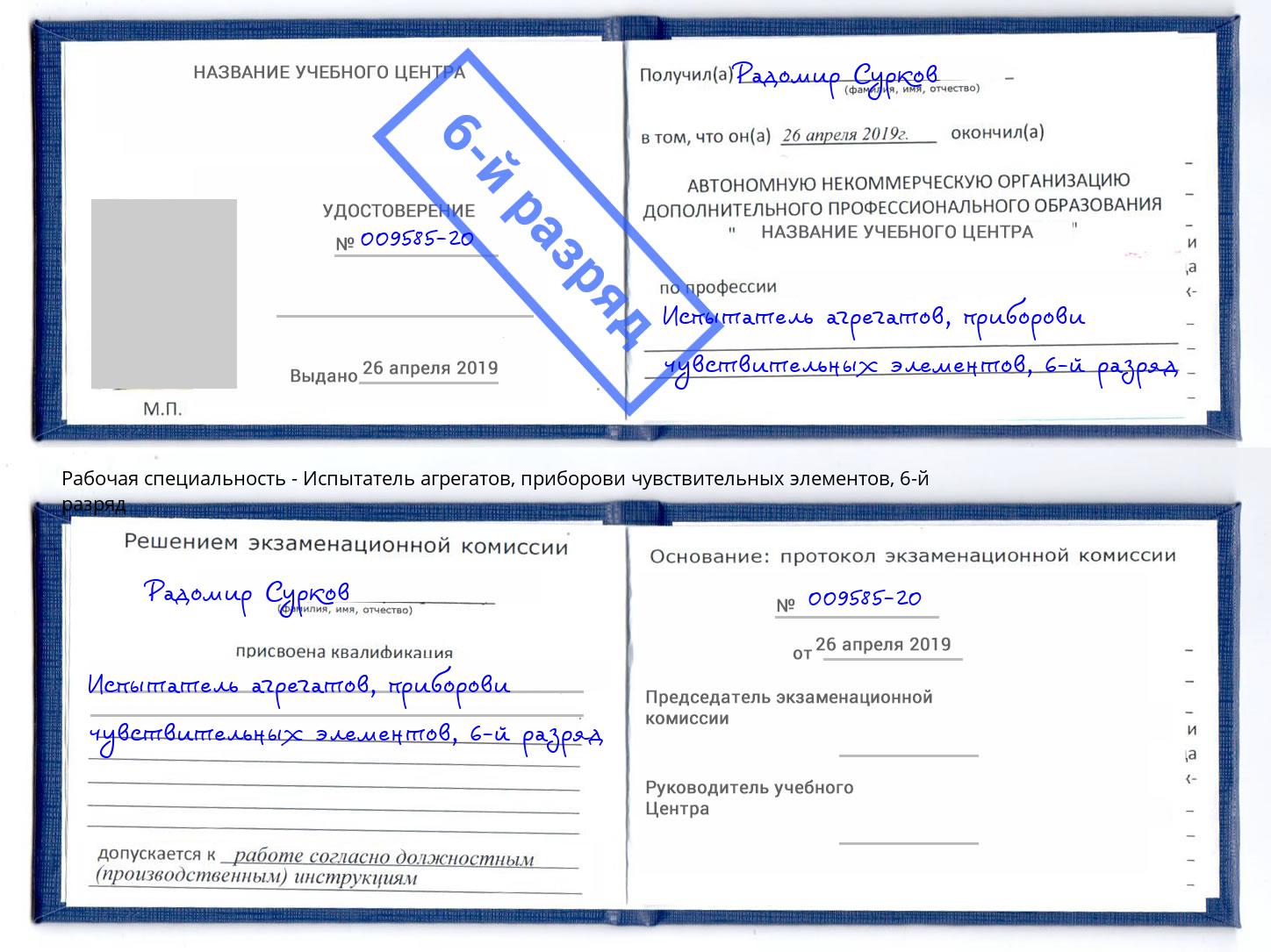 корочка 6-й разряд Испытатель агрегатов, приборови чувствительных элементов Грозный