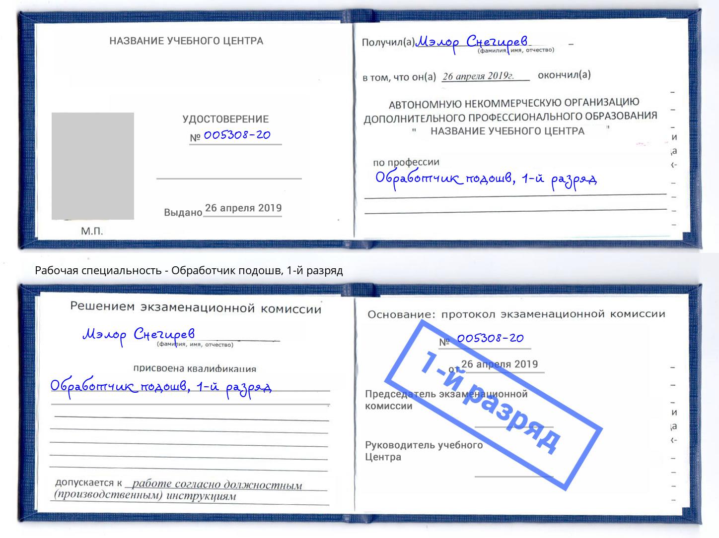 корочка 1-й разряд Обработчик подошв Грозный