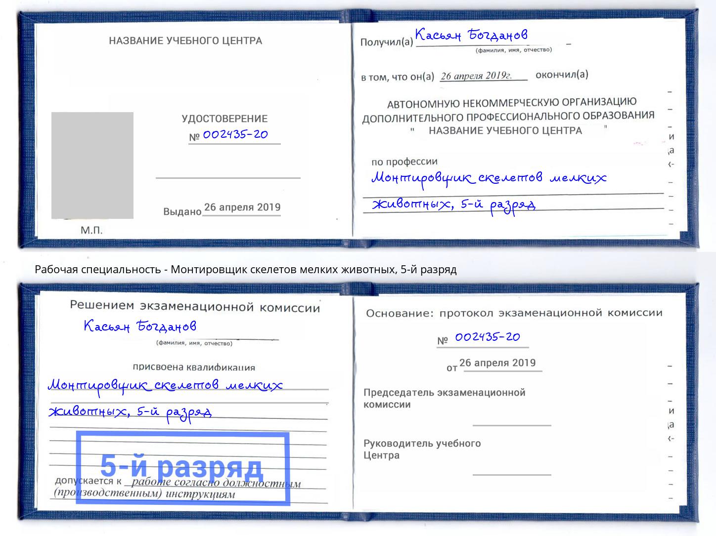 корочка 5-й разряд Монтировщик скелетов мелких животных Грозный