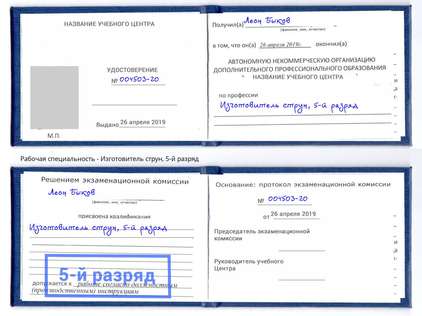 корочка 5-й разряд Изготовитель струн Грозный